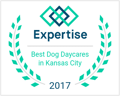 Expertise - Best Dog Daycares in Kansas City Award 2017