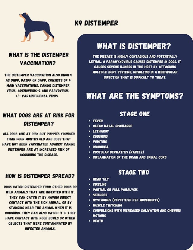Poster image displaying info about K9 Distemper 