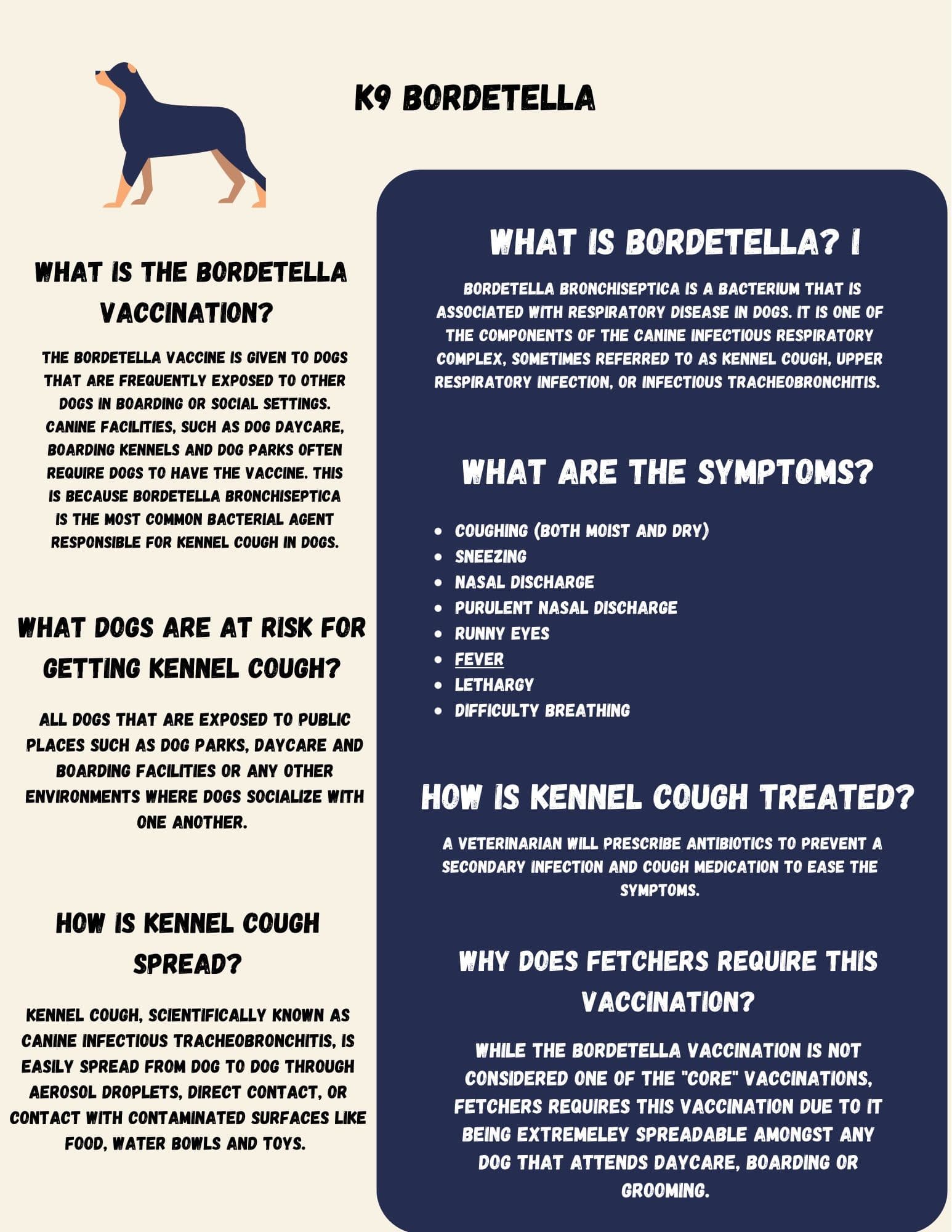 Poster image displaying info about K9 Bordetella 