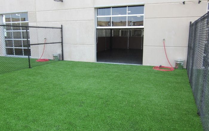 Outdoor play area with green turf