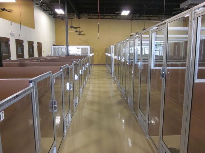 Aisle of dog rooms